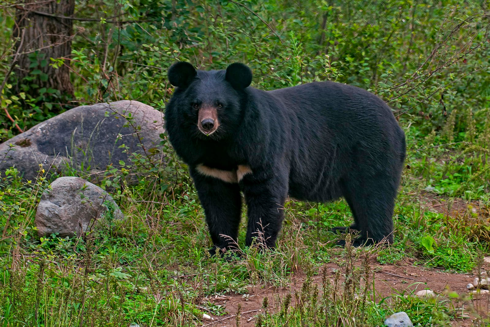 WhatsApp Image 2025-11-11 at 2.06.27 PM