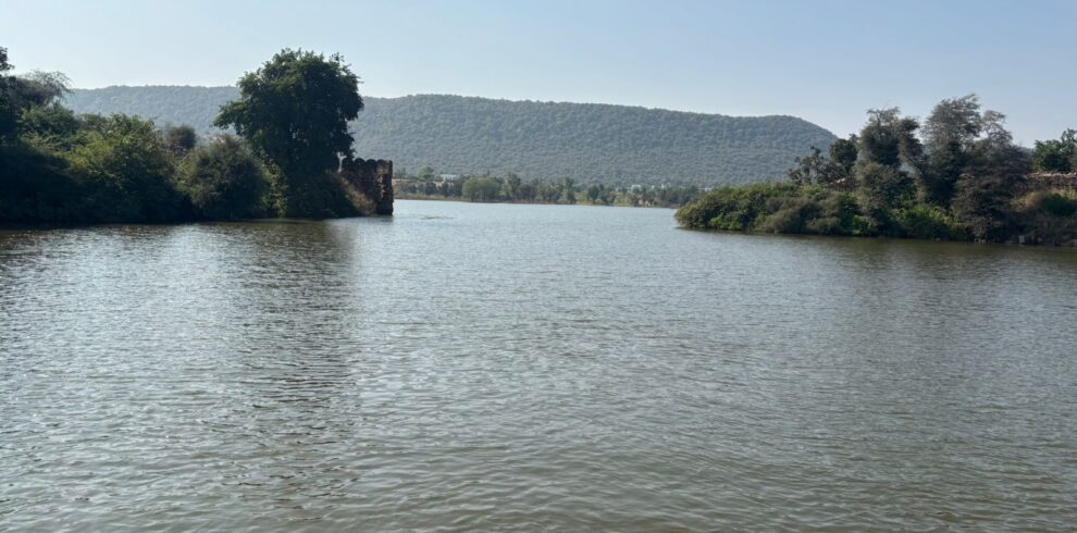 WhatsApp Image 2025-11-14 at 10.13.56 AM